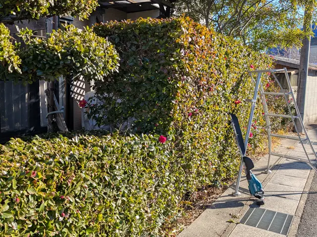 【7年の実績！】 高級マンション対応の庭木エキスパート。作業日はいつでも応相談サービスの画像