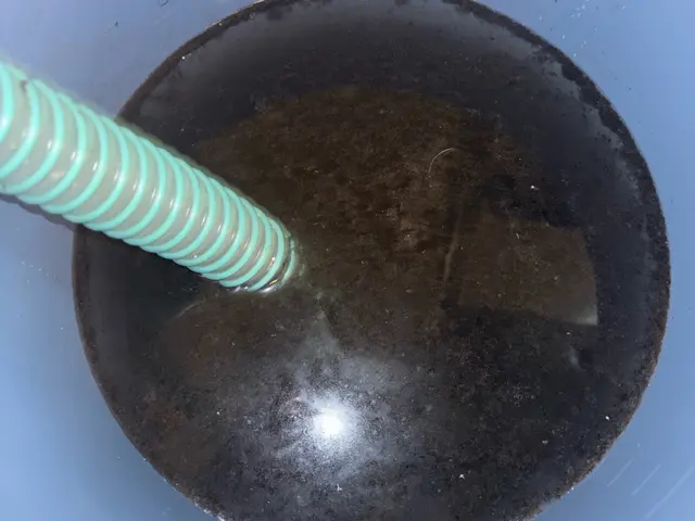 8000円から!!★消臭抗菌コート無料★2台目以降お得な500円割引!!★サービスの画像