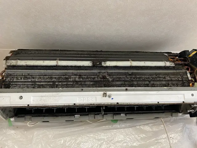 作業実績年間200件以上★消臭・抗菌に特化したエコ洗剤★お子さんやペットにも安心サービスの画像