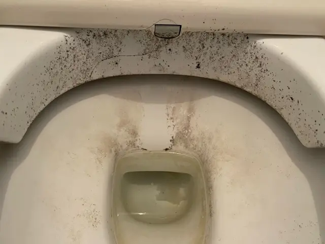 ピッカピカ♢業界歴5年以上！確かな技術と迅速対応で累計4,000件以上施工！サービスの画像