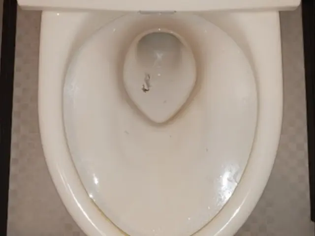 明朗会計で追加料金なし、尿石などの汚れを独自開発した専用の洗剤ですっきり。サービスの画像