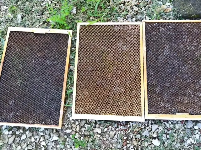 豊富な経験と知識で安心！仕上がり重視で丁寧に作業いたします！サービスの画像