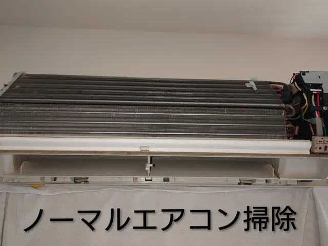 【複数割がお得！】◎最安値！◎除菌・消臭・抗菌コートは無料！丁寧に清掃します！サービスの画像