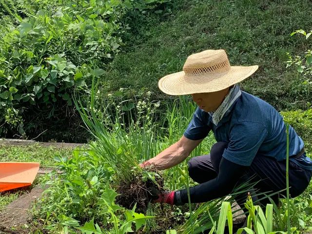 庭木・花の植えかえサービスの画像