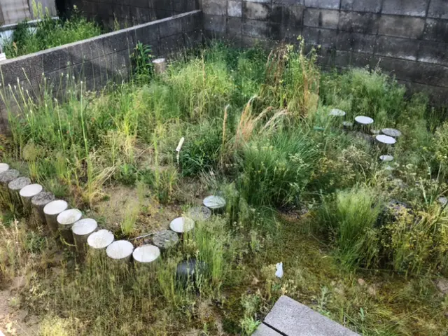 草刈りで気持ちもスッキリ！　雑草のお悩み解決いたします！サービスの画像