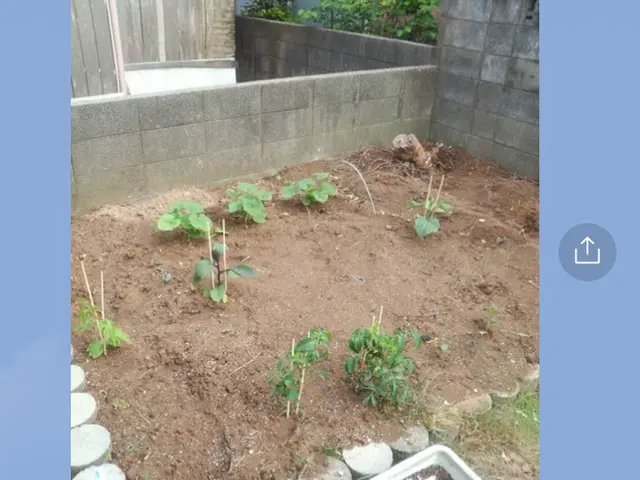 草刈りで気持ちもスッキリ！　雑草のお悩み解決いたします！サービスの画像