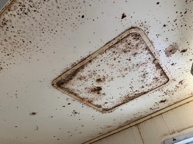 ◎夜間早朝も対応可能◎年中無休◎自信の自社対応◎大手業務経験豊富サービスの画像