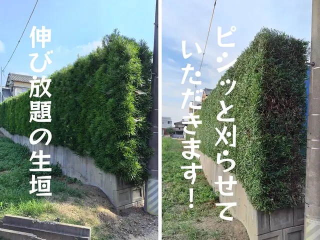 お客様のお力になります！経験と知識を活かして迅速丁寧に作業いたします！サービスの画像