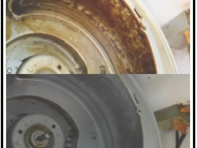 人気テレビ番組出演180店舗の安心FC店舗　カード利用可サービスの画像