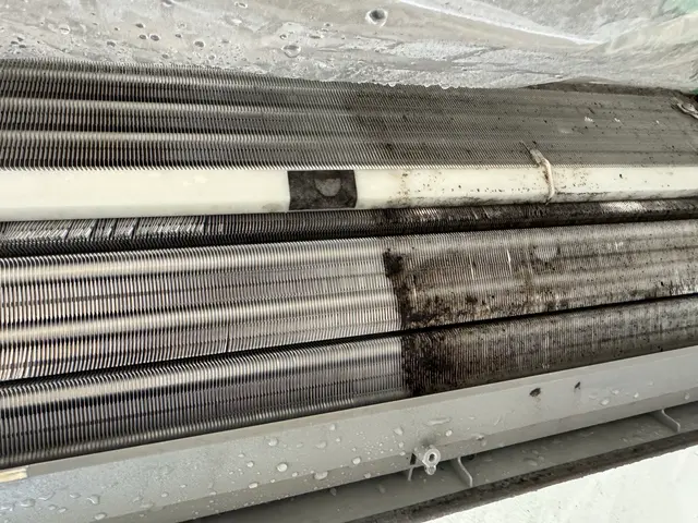 ☆エアコン内の汚れを綺麗に☆年末にかけて今がベストシーズン！親切丁寧で安心サービスの画像