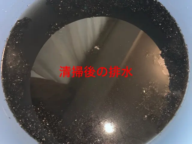 ☆10月のセール☆2台以上のご予約で抗菌コートサービス♪PayPay払いOKサービスの画像