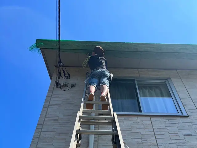 【茨城県　千葉県　埼玉県】雨樋や太陽光パネルの鳥の巣撤去や鳥避けネット承ります！サービスの画像