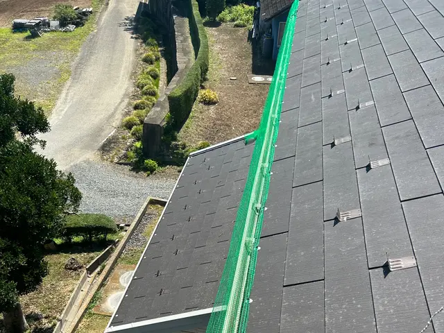 【茨城県　千葉県　埼玉県】雨樋や太陽光パネルの鳥の巣撤去や鳥避けネット承ります！サービスの画像