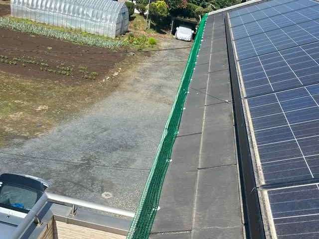 【茨城県　千葉県　埼玉県】雨樋や太陽光パネルの鳥の巣撤去や鳥避けネット承ります！サービスの画像