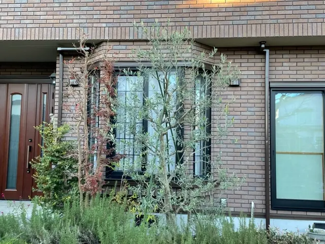 ◇八王子発◇木に優しい自然風剪定　土日祝相談◯サービスの画像