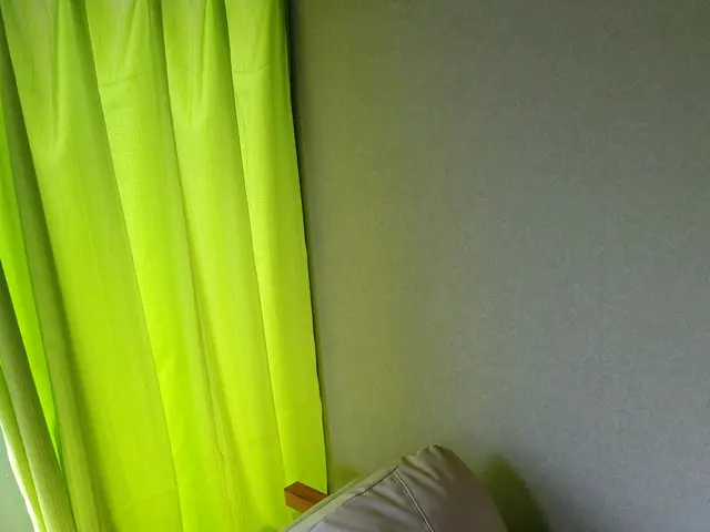 クロス壁紙クリーニング防カビ剤塗布の場合別途3,000円。サービスの画像