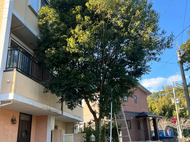 個人庭を中心に実務40年の一級造園施工管理士です。サービスの画像