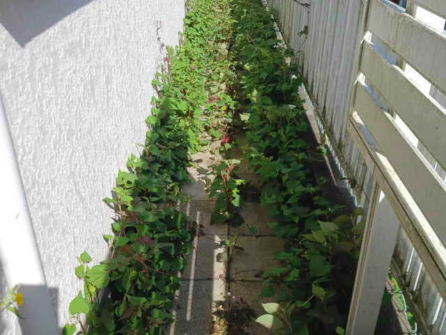 作業外注一切なし！丁寧な作業致します。サービスの画像