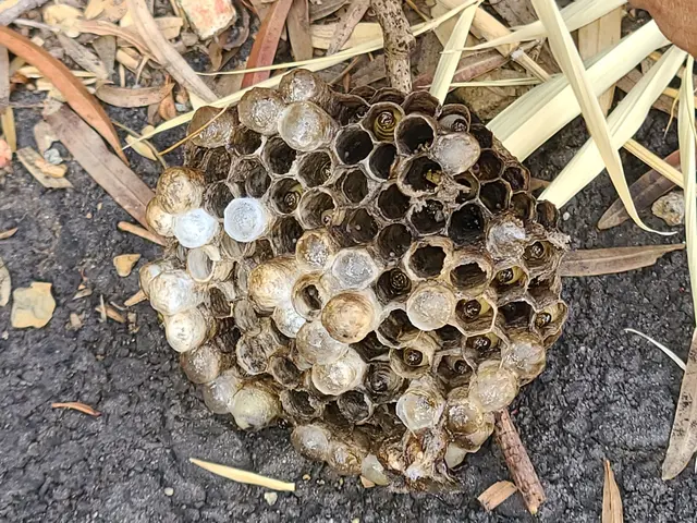 ◆予約から施工まで100%自社対応◎女性スタッフ同行可能◎仕上がり保証ありサービスの画像