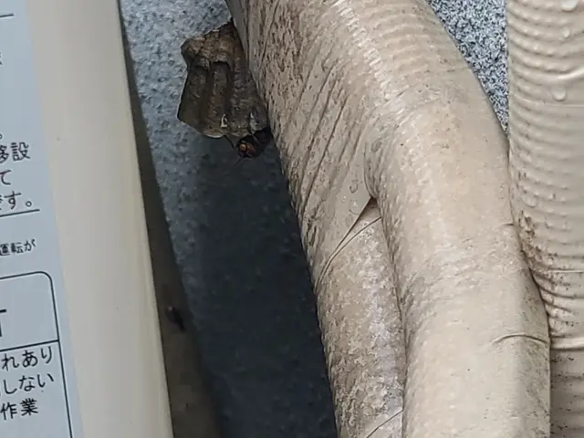 ◆予約から施工まで100%自社対応◎女性スタッフ同行可能◎仕上がり保証ありサービスの画像