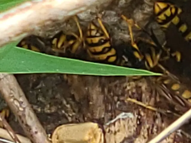 ◆予約から施工まで100%自社対応◎女性スタッフ同行可能◎仕上がり保証ありサービスの画像