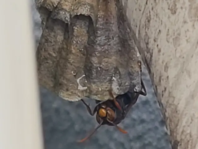 ◆予約から施工まで100%自社対応◎女性スタッフ同行可能◎仕上がり保証ありサービスの画像