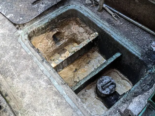 2回目から半額！！コスパ最強！お任せください！（定期清掃がオススメです）サービスの画像