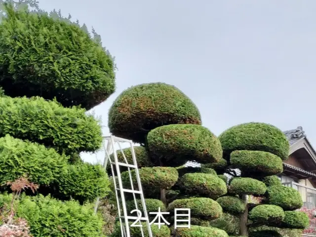 ◆年中無休◎自社の職人が迅速丁寧に仕上げます◎損害保険加入店サービスの画像