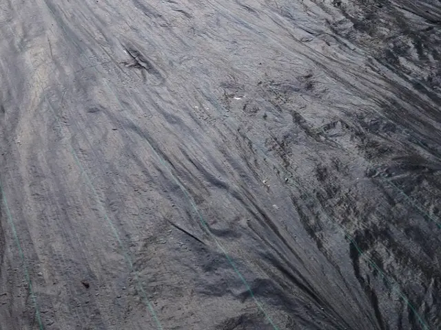 防草シートお任せください。。料金表はあくまで目安です。複数であれば値引します。サービスの画像