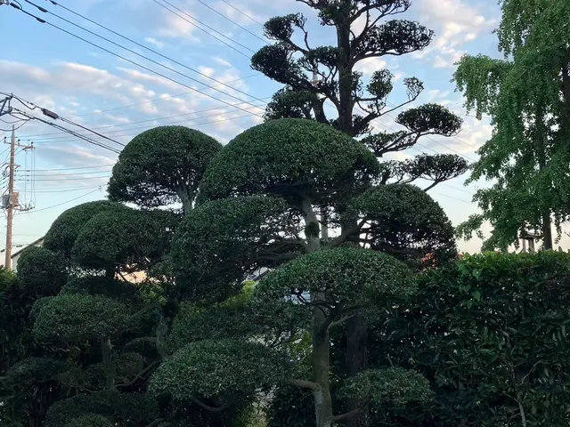 《年中無休》作業外注一切なし◎損害保険加入済み！訪問時の駐車場代は当店負担！サービスの画像