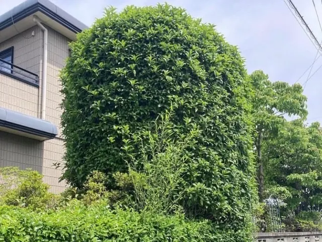 《年中無休》作業外注一切なし◎損害保険加入済み！訪問時の駐車場代は当店負担！サービスの画像