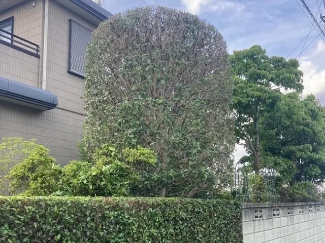 《年中無休》作業外注一切なし◎損害保険加入済み！訪問時の駐車場代は当店負担！サービスの画像