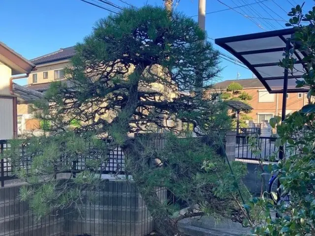 《年中無休》作業外注一切なし◎損害保険加入済み！訪問時の駐車場代は当店負担！サービスの画像