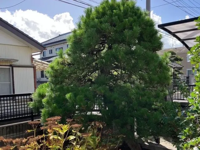 《年中無休》作業外注一切なし◎損害保険加入済み！訪問時の駐車場代は当店負担！サービスの画像