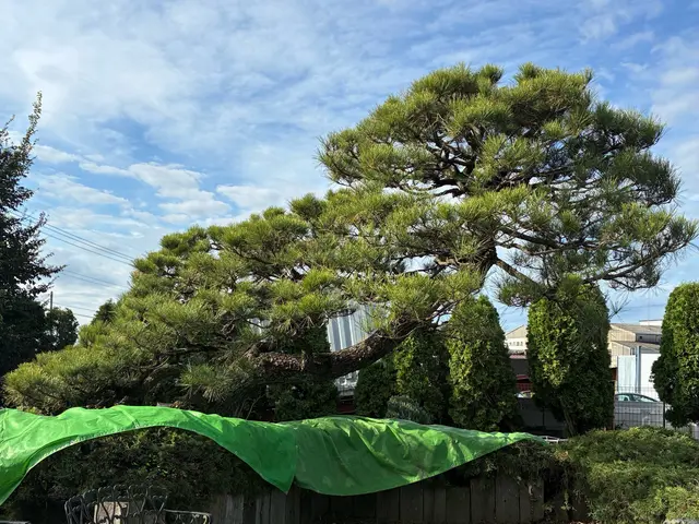 《年中無休》作業外注一切なし◎損害保険加入済み！訪問時の駐車場代は当店負担！サービスの画像