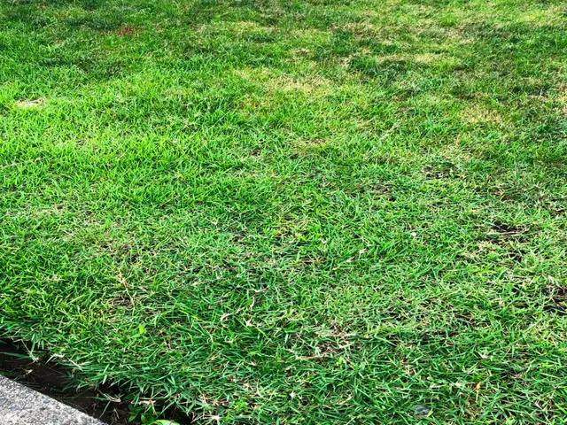 ◆年中無休◆大手業務経験あり◆営業時間外も対応OK◆迅速丁寧に対応します！サービスの画像