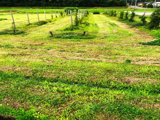 ◆年中無休◆大手業務経験あり◆営業時間外も対応OK◆迅速丁寧に対応します！サービスの画像