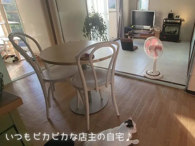 お掃除特化★お掃除大好きな私達！本気のお掃除11月.20.21.25.26空ありサービスの画像