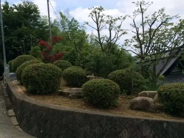 ■剪定作業でお困りの方ご相談下さい【問題解決･改善提案】いたします■サービスの画像