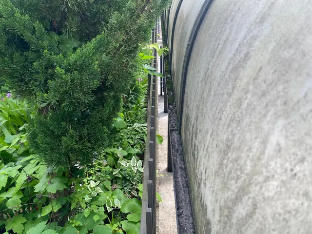 【ブラシも使って汚れをスッキリ！】◆近隣状況下見必須。予約前に必ずお問合せ下さいサービスの画像