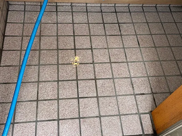 【除菌してから入退室します】家の入り口を綺麗にします！サービスの画像
