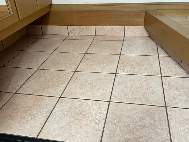 【除菌してから入退室します】家の入り口を綺麗にします！サービスの画像