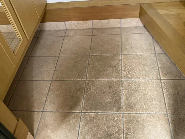 【除菌してから入退室します】家の入り口を綺麗にします！サービスの画像