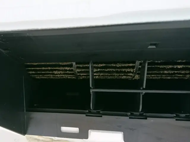 駐車場代お店負担◎徹底的に嫌な匂いを落とし丁寧に仕上げます！防カビコートサービスサービスの画像