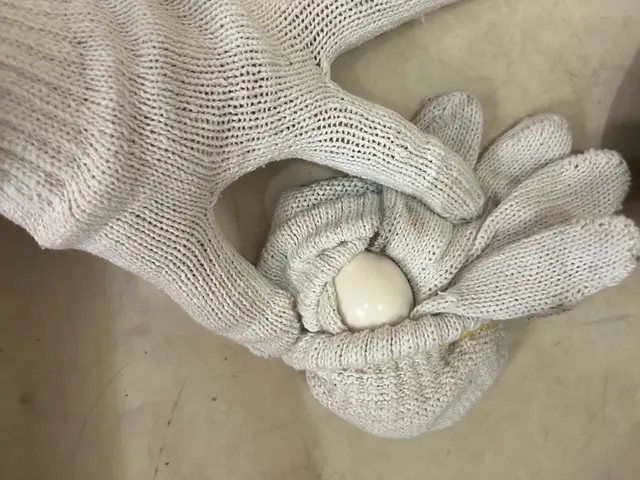 【鳩のしつこい糞被害】解決します！一度ご相談だけでもお待ちしてます♪サービスの画像