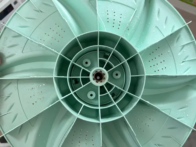 洗濯機（洗濯槽）クリーニングサービスの画像