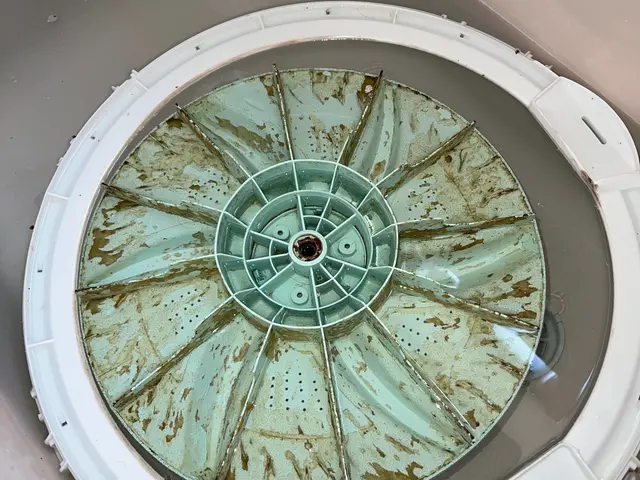 洗濯機（洗濯槽）クリーニングサービスの画像