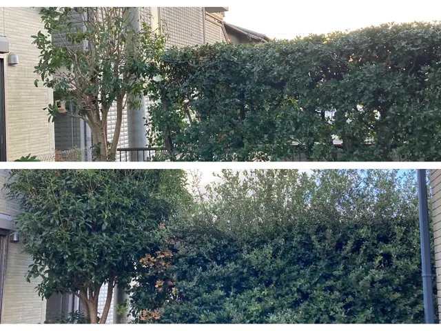 ☆ゴミ代も込みの料金なのでお得！一級造園技能士も保有なので安心の仕上がりサービスの画像