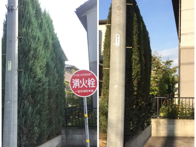 ☆ゴミ代も込みの料金なのでお得！一級造園技能士も保有なので安心の仕上がりサービスの画像