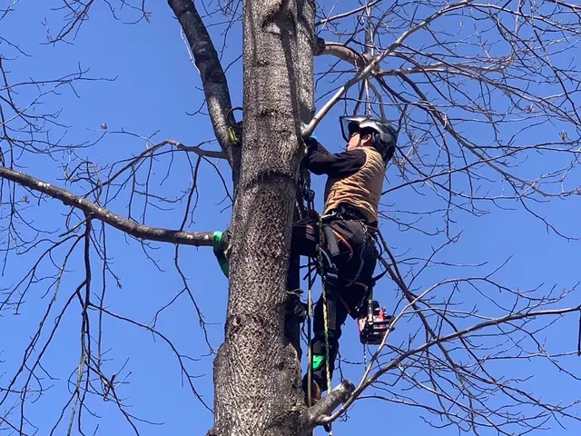 ◎地域密着店◎丁寧に美しく仕上げます！当店にお任せください！サービスの画像